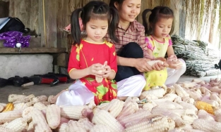 Từ ngày 10/3: Sinh 2 con một bề được miễn giảm học phí, đi học được hỗ trợ mua bảo hiểm y tế 