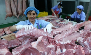 Giá thịt lợn hơi 12/3: Tăng giảm trái chiều trên cả nước