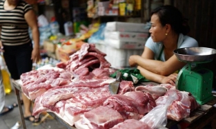 Giá thịt lợn 13/3: Giá giao dịch ổn định ở cả 3 miền