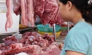 Giá lợn hơi hôm nay 15/3: Biến động nhẹ tại nhiều địa phương trên cả nước