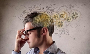 GS ĐH Harvard đưa ra câu trả lời cho câu hỏi: Con người có bao nhiêu loại trí thông minh? 