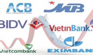 Thị trường chứng khoán ngày 15/3: Cổ phiếu nhóm ngân hàng đi đầu, VN-Index tăng 3 điểm, sàn HOSE cuối phiên nghẽn lệnh