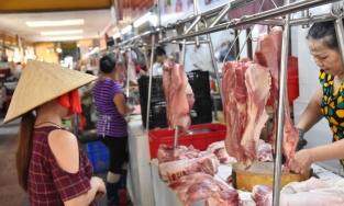 Giá thịt lợn hơi hôm nay 16/3: Tăng giảm trái chiều tại nhiều khu vực