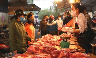 Giá thịt lợn hơi 17/3: Dịch tả lợn bùng phát ở Quảng Nam, giá thịt lợn hơi giảm tại nhiều địa phương