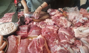 Giá thịt lợn hơi hôm nay 18/3: Tăng nhẹ ở một số tỉnh thành trên cả nước