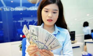 Tỷ giá USD hôm nay 30/3: Giảm giá sau nhiều phiên chững lại