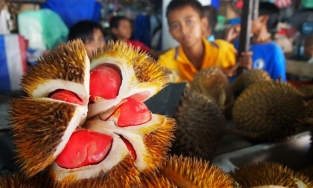 Sầu riêng ruột đỏ cực hiếm: Đắt gấp 3 sầu thường, muốn ăn phải đặt từ trước