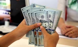 Tỷ giá ngoại tệ hôm nay 12/4:  Đầu tuần khởi sắc theo đà tăng của thế giới