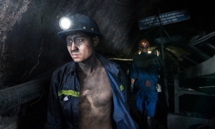 4 nghề 'kiếm khá' nhưng chỉ dành cho người dũng cảm tại Việt Nam