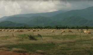 Địa điểm quay MV Trốn Tìm của Đen Vâu hóa ra lại rất dễ tìm và quen thuộc với dân đam mê 'xê dịch'