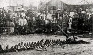 Bức ảnh tranh cãi suốt 70 năm về bộ xương rồng tại Trung Quốc cuối cùng đã có lời giải