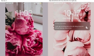 'Hot trend' đặt hình nền hoa mẫu đơn cho điện thoại: Mong vận may sẽ tới, tình yêu thì phơi phới muôn nơi