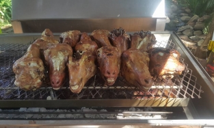 Bạn có dám thử  những món ăn 'kỳ lạ khó tả' này tại đất nước Nam Phi không?