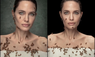 Angelina Jolie chụp hình cùng ong mật mà không cần mặc đồ bảo hộ