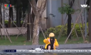 Cú ngã xe của cô gái giữa triều cường vô tình lọt vào ống kính VTV