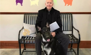 Ông Joe Biden bất ngờ chấn thương do trượt ngã khi chơi với thú cưng