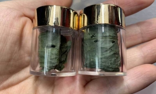 Những điều chưa biết về loại lá quý hiếm có giá lên đến cả trăm triệu/kg