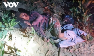 Đồng Nai: Người đàn ông bị voi tấn công chấn thương sọ não trong rừng