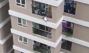 Bé gái rơi từ tầng 12 sẽ xuất viện vào hôm nay, ngày 4/3