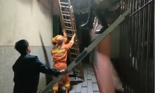 Nữ sinh bị mắc kẹt khi trèo rào vào trường vì ham chơi về muộn