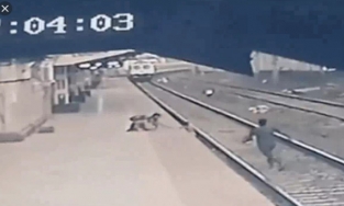 Bé trai thoát chết kỳ diệu sau khi ngã xuống đường ray lúc đoàn tàu đang lao đến