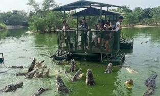 Mỹ: Người đàn ông nhảy xuống hồ đầy cá sấu vì bị tắc đường 2 tiếng