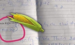 Thanh niên bị xử phạt vì sang phường khác mua bắp ngô về ăn