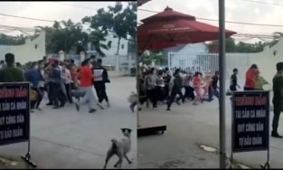 Người dân miền Tây chen chúc, đổ xô đi làm sổ đỏ từ rạng sáng