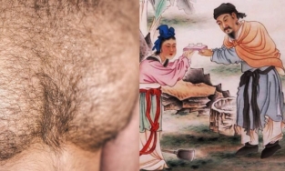 Nhân tướng học: Vì sao đàn ông không mao thì quý như vàng, phụ nữ có phúc thì ít mao?