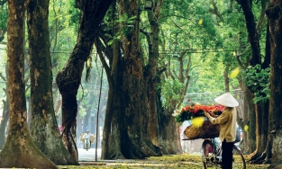 Du lịch Hà Nội đi đâu để có những trải nghiệm tuyệt vời trong mùa Thu