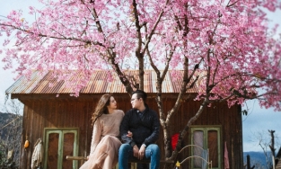 Du lịch Đà Lạt tháng 12, nhớ ghé 5 cung đường mai anh đào đẹp ngất ngây này