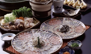 Vì sao người Nhật bỏ nghìn đô để thưởng thức loại cá nóc độc nhất thế giới?