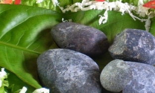 Sỏi mầm Hậu Giang, đặc sản nhất định phải thử khi về miền Tây sông nước