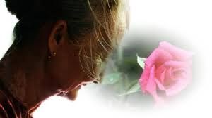 Những trích dẫn hay về cha mẹ mùa Vu Lan