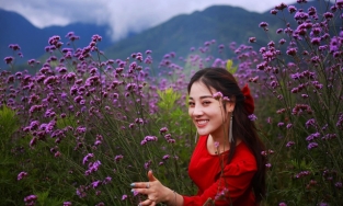 Tử vi ngày 17/10 của 12 con giáp: Thìn được thăng quan tiến chức