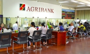 Ngân hàng xem xét miễn giảm lãi suất cho khách vay ở vùng lũ