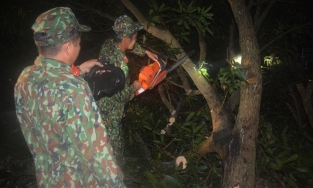 Sạt lở đất vùi lấp 53 người ở Quảng Nam: Quân đội xuyên đêm thông đường 