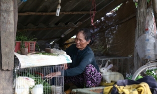 Trưởng thôn giả mạo chữ ký người dân được nhận gạo cứu đói để lấy phần