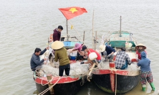 Sau bão lũ, ngư dân Hà Tĩnh 'trúng mánh' vì lộc trời cho