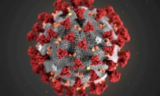 20% bệnh nhân Covid-19 ghi nhận biến chứng tâm thần