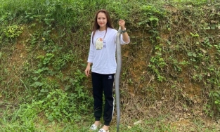 Gái xinh 10x tay không bắt rắn hổ mang hơn 2kg về cho bố ngâm rượu