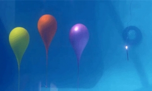 Góc giải mã: 10 sự thật khoa học thú vị mà trường học không dạy bạn