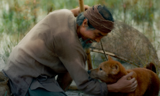 Phim Cậu Vàng vừa tung trailer đã gây tranh cãi quanh hình dáng của Shiba