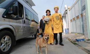 Nóng trên MXH: 'Sen' đi lấy chồng, chú chó hớn hở như vừa tống đi 'của nợ'