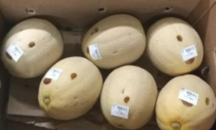 Chị gái 'rảnh rỗi sinh nông nổi' đi siêu thị chọc thủng 12 trái dưa đẳt đỏ