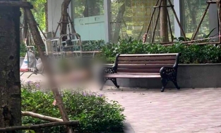 TP.HCM: Thêm một phụ nữ nghi trầm cảm rơi từ tầng cao chung cư tử vong