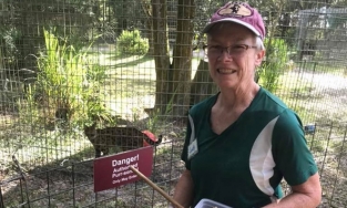 Cho hổ ăn, một người phụ nữ bị cắn gần lìa tay