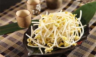 Điều gì xảy ra khi bạn ăn giá đỗ thường xuyên