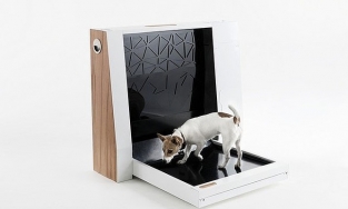 Tin vui cho 'boss': Đã có nhà vệ sinh thông minh dành cho thú cưng