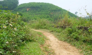 Thanh Hóa: Người đàn ông bị cắt 'của quý' trên đồi cao su